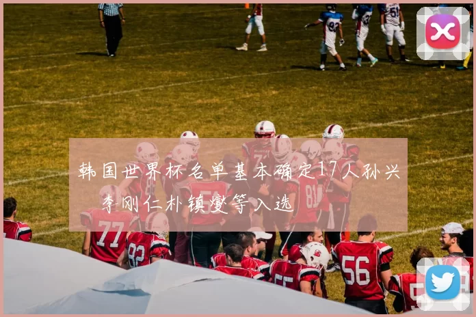 韩国世界杯名单基本确定17人孙兴慜李刚仁朴镇燮等入选